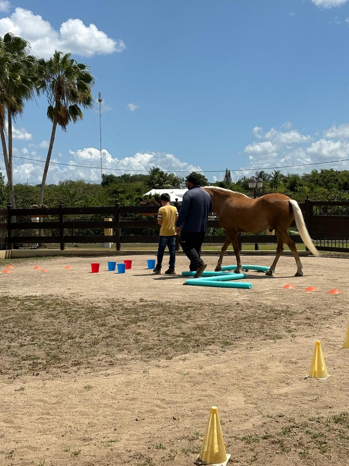 Facilitador y niño trabajando con un caballo en una pista con obstáculos