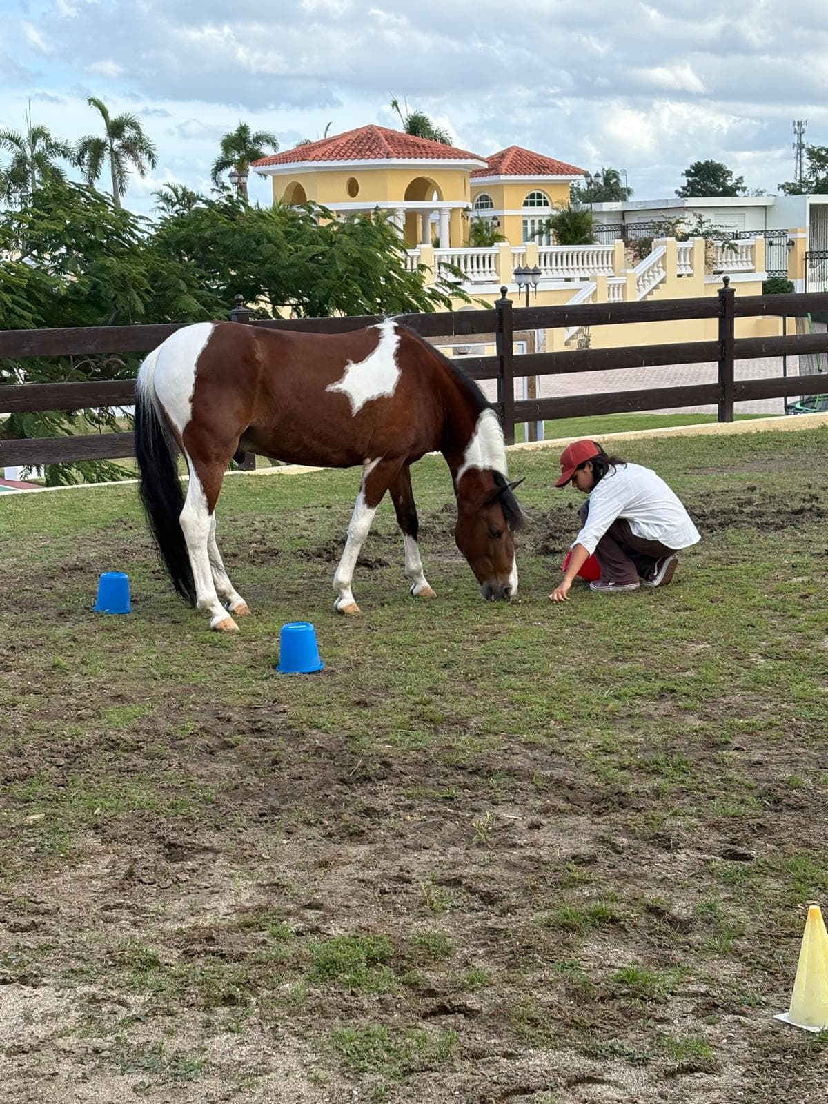Niño trabajando desde el suelo con un caballo