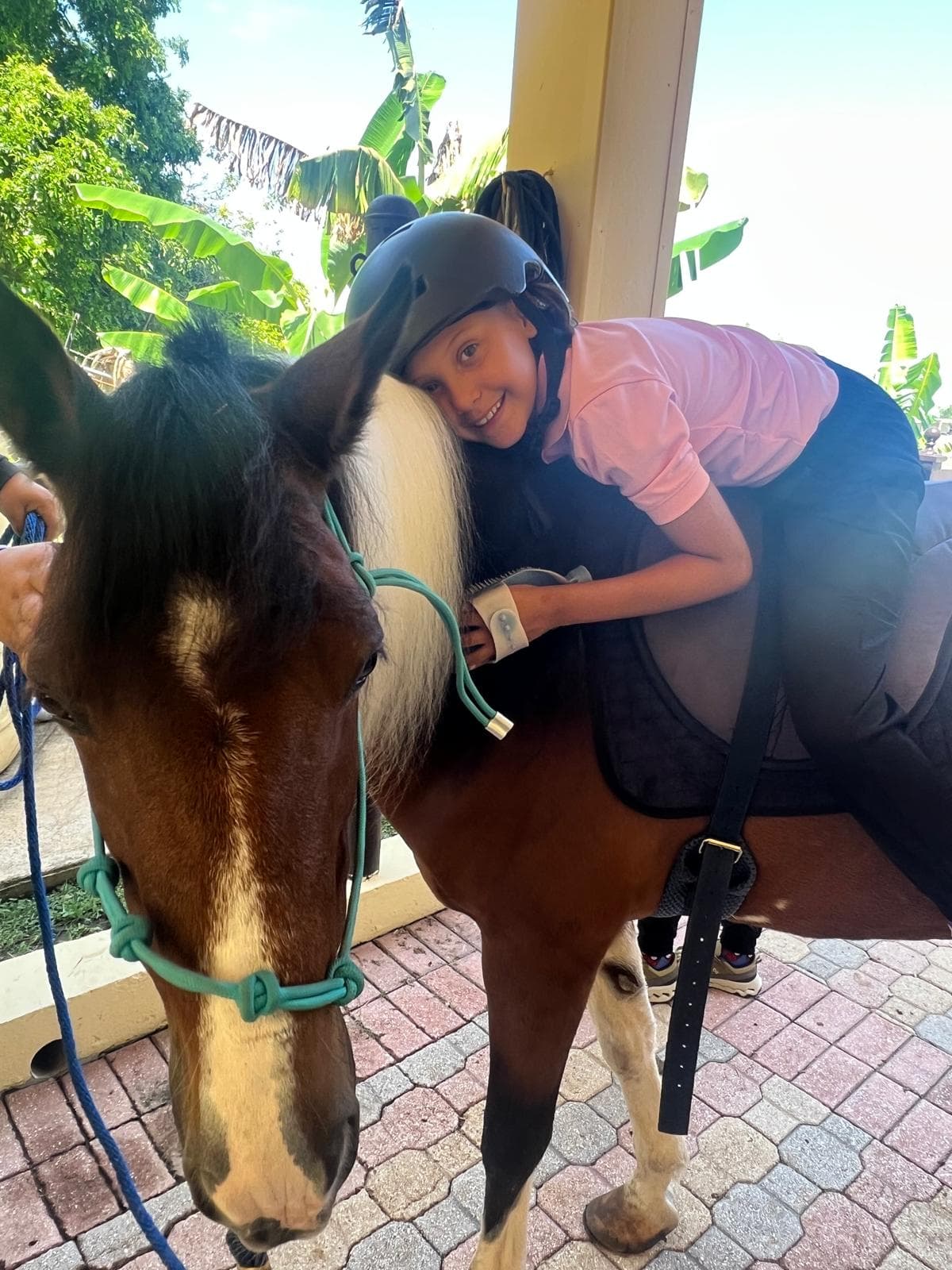 Niña cepillando a un caballo